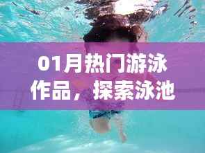热门游泳作品探秘,泳池激情与艺术欣赏
