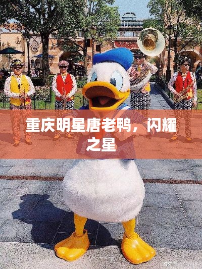 重庆明星唐老鸭,闪耀之星