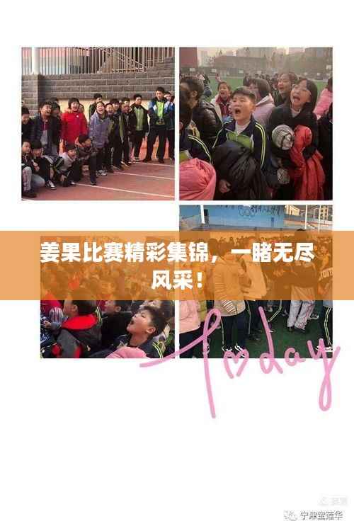 姜果比赛精彩集锦,一睹无尽风采!