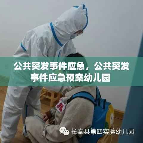 公共突发事件应急,公共突发事件应急预案幼儿园