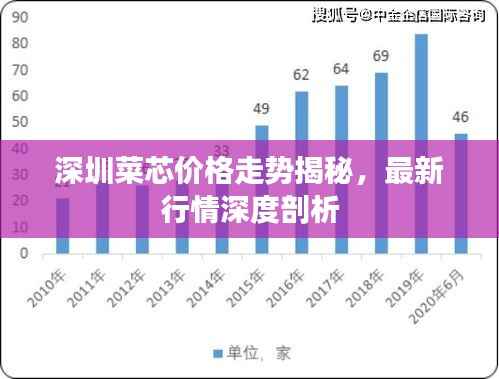 深圳菜芯价格走势揭秘,最新行情深度剖析