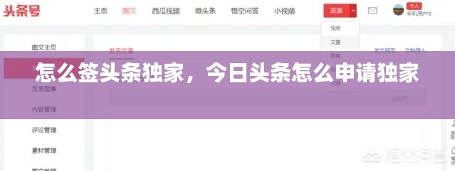 怎么签头条独家，今日头条怎么申请独家 