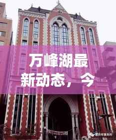 万峰湖最新动态,今日消息一网打尽