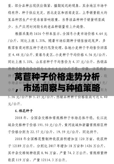 莴苣种子价格走势分析,市场洞察与种植策略建议