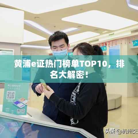 黄浦e证热门榜单TOP10,排名大解密!