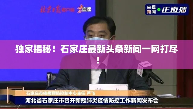 独家揭秘!石家庄最新头条新闻一网打尽!