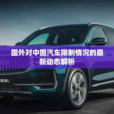 国外对中国汽车限制情况的最新动态解析