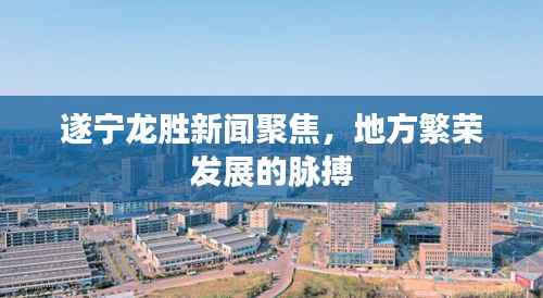 遂宁龙胜新闻聚焦,地方繁荣发展的脉搏