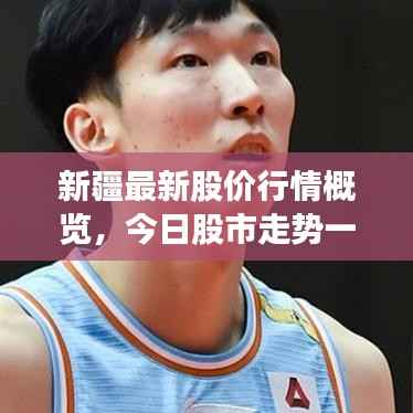 新疆最新股价行情概览,今日股市走势一览