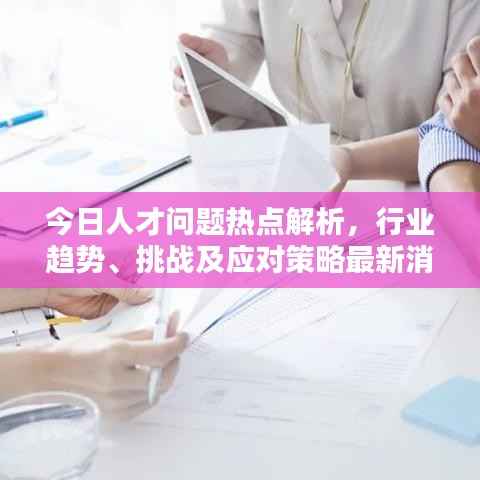 今日人才问题热点解析,行业趋势、挑战及应对策略最新消息