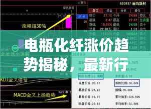 电瓶化纤涨价趋势揭秘,最新行情动态一网打尽