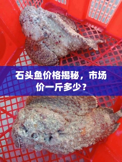 石头鱼价格揭秘,市场价一斤多少?