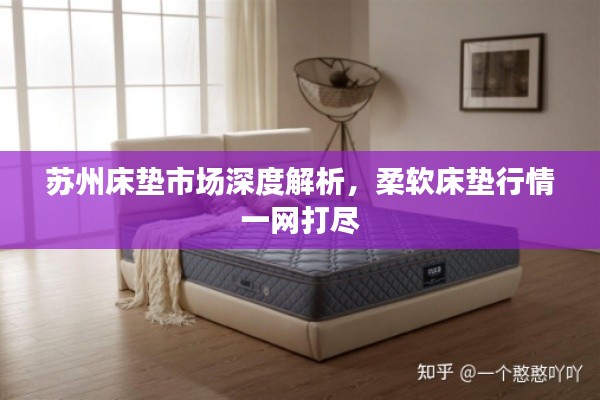 苏州床垫市场深度解析,柔软床垫行情一网打尽