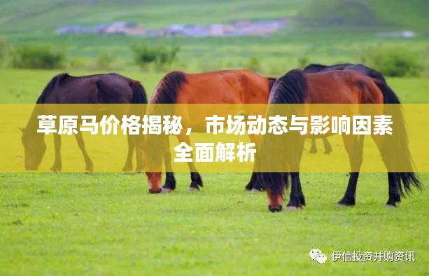草原马价格揭秘,市场动态与影响因素全面解析
