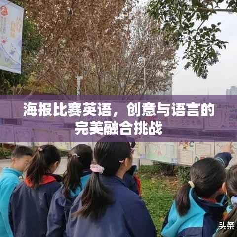 海报比赛英语,创意与语言的完美融合挑战