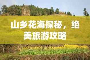 山乡花海探秘,绝美旅游攻略
