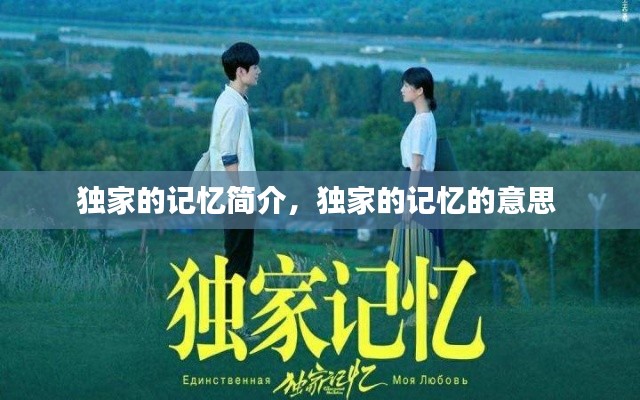 独家的记忆简介,独家的记忆的意思