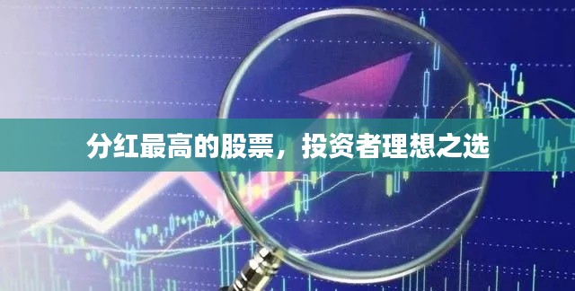 分红最高的股票,投资者理想之选