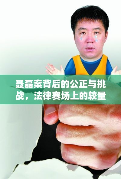 聂磊案背后的公正与挑战,法律赛场上的较量
