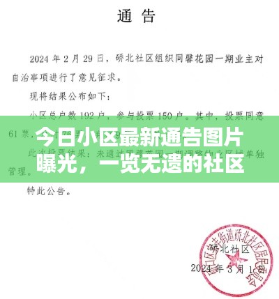 今日小区最新通告图片曝光,一览无遗的社区最新动态