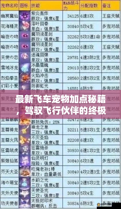最新飞车宠物加点秘籍,驾驭飞行伙伴的终极指南