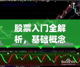 股票入门全解析，基础概念指南与学习方法探讨