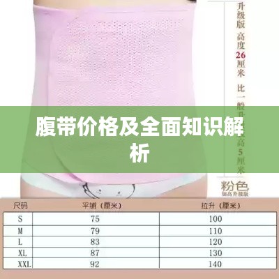 腹带价格及全面知识解析