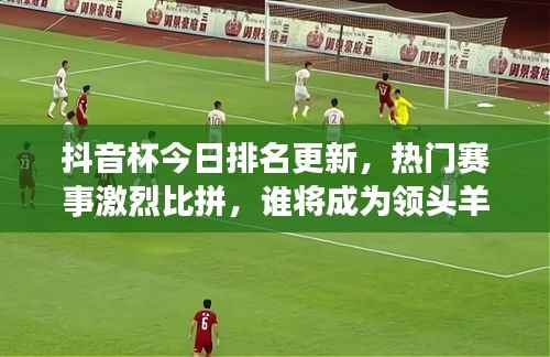 抖音杯今日排名更新,热门赛事激烈比拼,谁将成为领头羊?