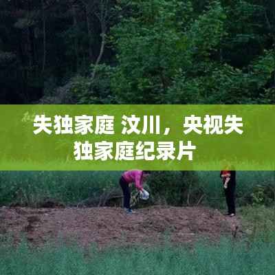 失独家庭 汶川,央视失独家庭纪录片
