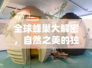 全球蜂巢大解密,自然之美的独特魅力排行榜