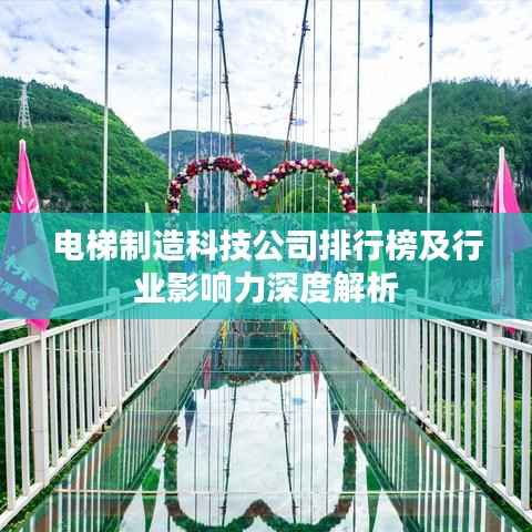 电梯制造科技公司排行榜及行业影响力深度解析