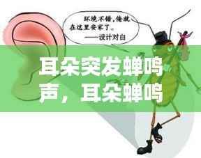 耳朵突发蝉鸣声,耳朵蝉鸣声和嗡嗡作响怎么办