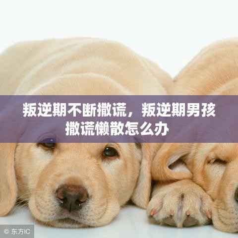 叛逆期不断撒谎,叛逆期男孩撒谎懒散怎么办