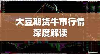 大豆期货牛市行情深度解读
