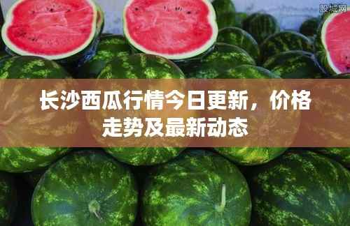 长沙西瓜行情今日更新,价格走势及最新动态