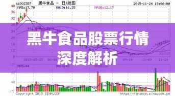 黑牛食品股票行情深度解析