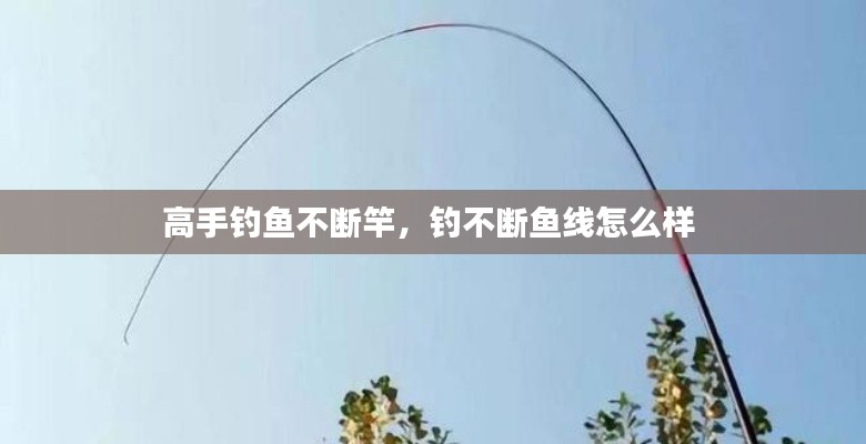 高手钓鱼不断竿,钓不断鱼线怎么样