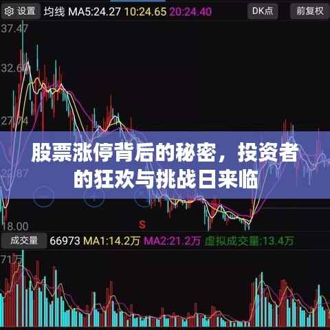 股票涨停背后的秘密,投资者的狂欢与挑战日来临