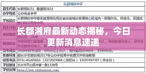 长郡湘府最新动态揭秘,今日更新消息速递