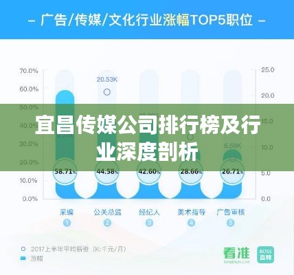 宜昌传媒公司排行榜及行业深度剖析