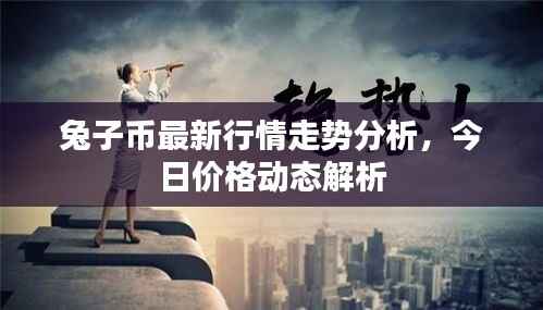 兔子币最新行情走势分析,今日价格动态解析