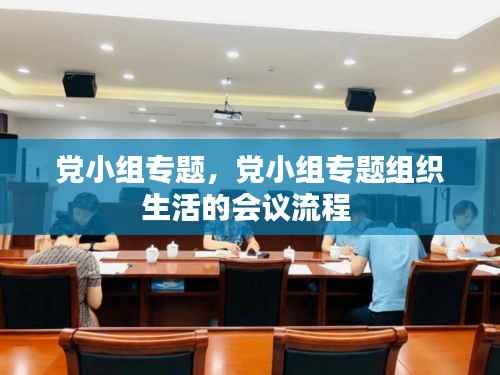 党小组专题,党小组专题组织生活的会议流程