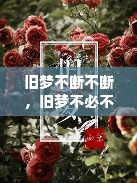 旧梦不断不断,旧梦不必不必