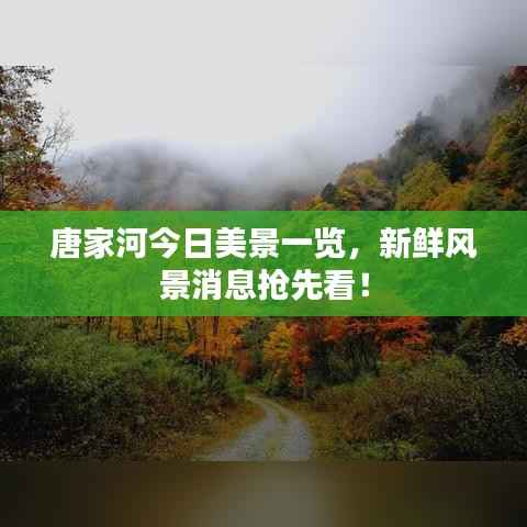 唐家河今日美景一览,新鲜风景消息抢先看!