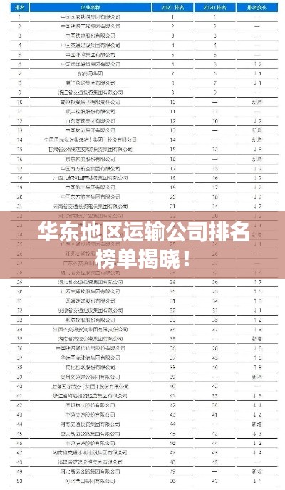 华东地区运输公司排名榜单揭晓！