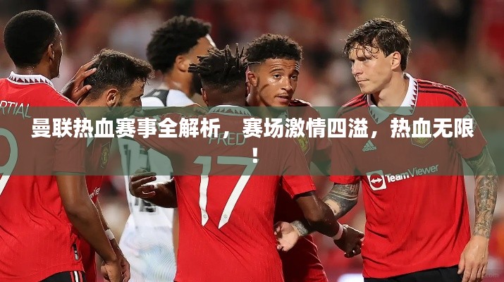 曼联热血赛事全解析,赛场激情四溢,热血无限!