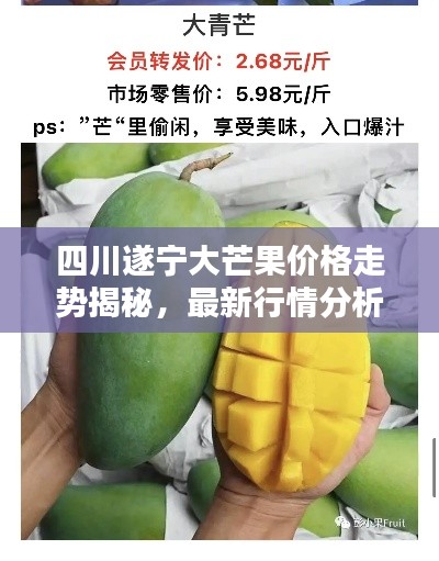 四川遂宁大芒果价格走势揭秘,最新行情分析!