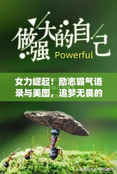 女力崛起!励志霸气语录与美图,追梦无畏的力量之源