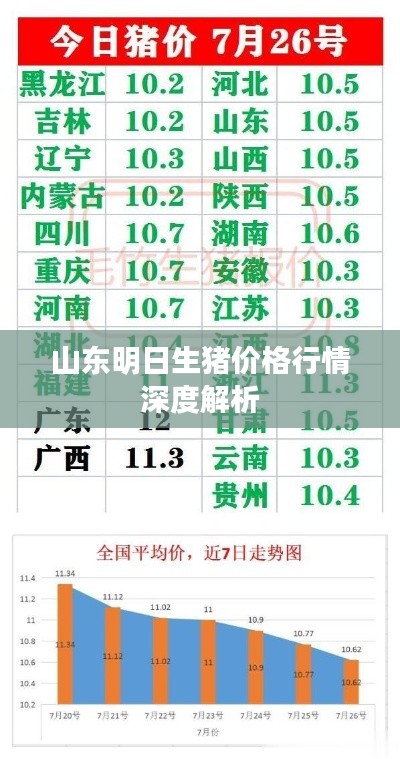山东明日生猪价格行情深度解析