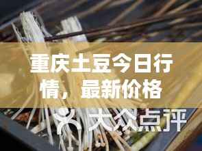 重庆土豆今日行情,最新价格动态一网打尽